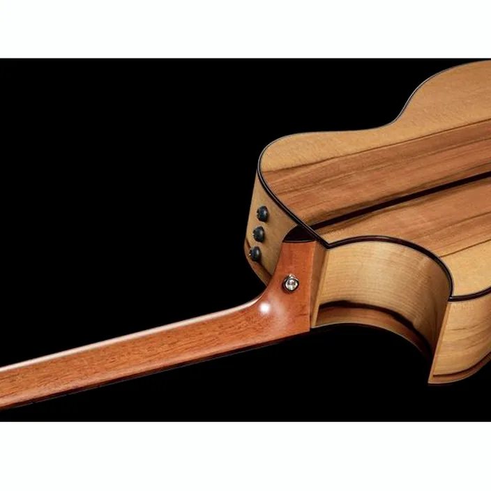 Guitare Acoustique Taylor Custom #10101 Grand Auditorium - Comparatif, Avis & Test