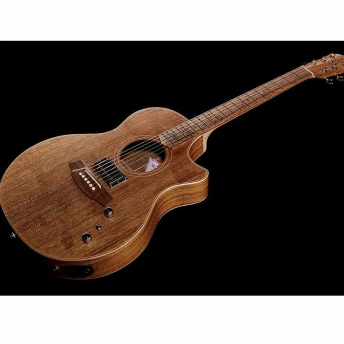 Guitare Cole Clark TL2EC-BLBL-HUM - Comparatif, Avis & Test