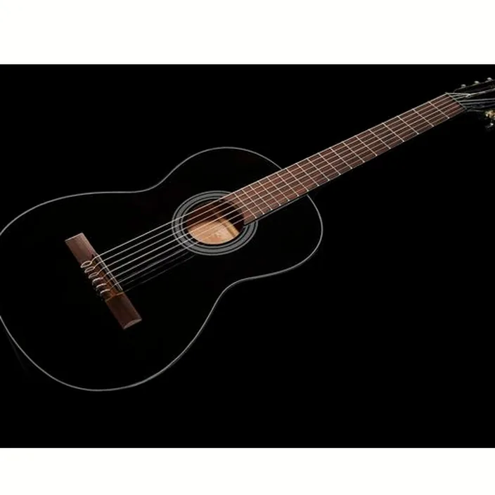 Guitare Gewa Student Black 4/4 Test, Avis