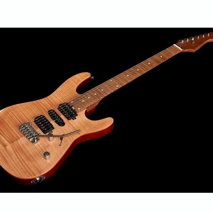 Harley Benton Fusion-III HSH Roasted w/Case - Test, Avis