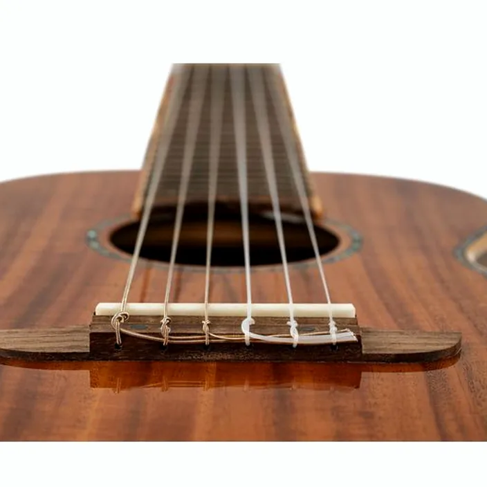 La guitare Classique Ortega RGLE18ACA | Test et Avis