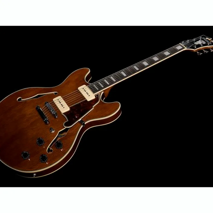 La guitare électrique DAngelico Premier DC Boardwalk Walnut , Avis et Test