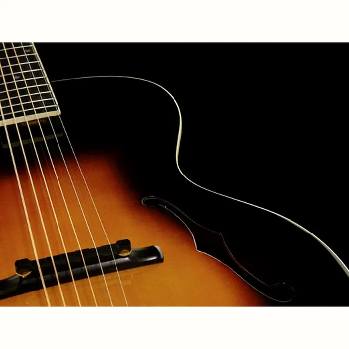 La guitare électrique The Loar LH-700 VS , Test & Avis