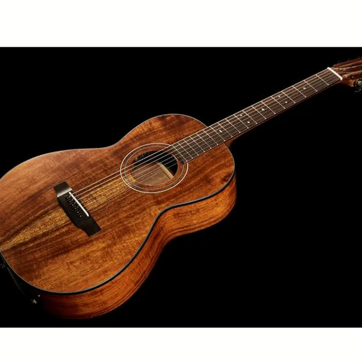 La guitare Harley Benton CLP-15E Flame Koa Exotic Avis, Test