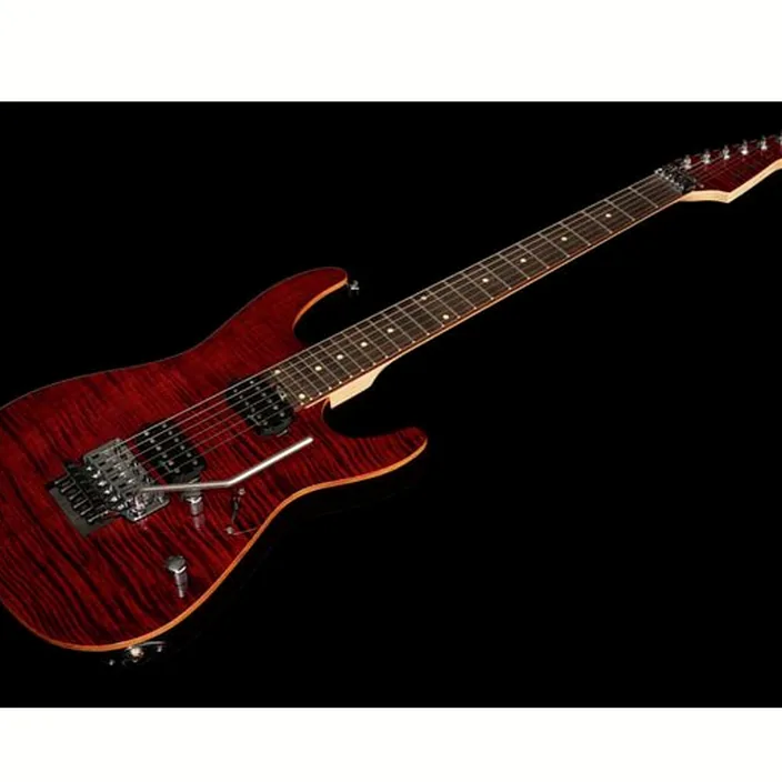 La guitare Harley Benton Fusion-III HH FR EB FCH : Avis, Test, Comparatif
