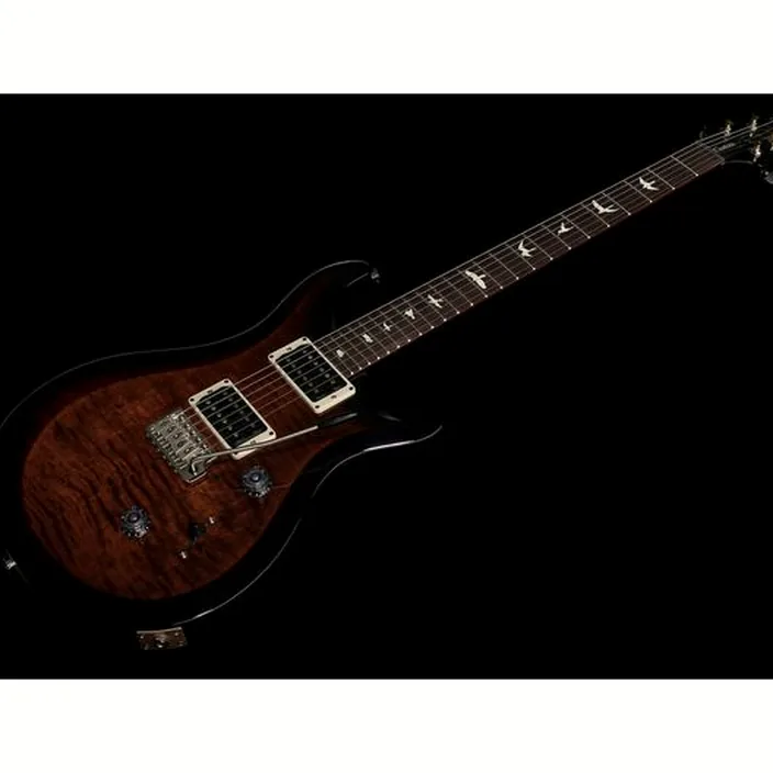 La guitare PRS S2 Custom 24 Birds CC , Test, Comparatif & Avis