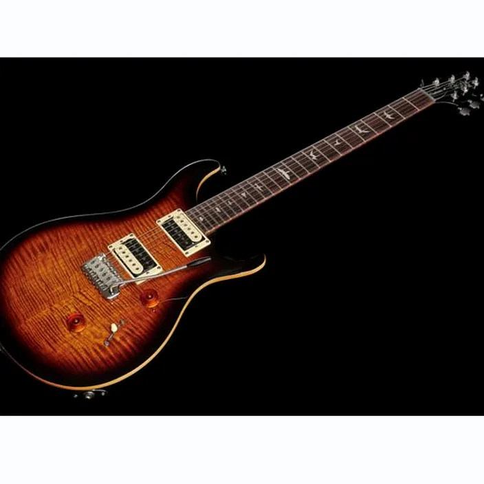 PRS SE Custom 24 BG - Comparatif, Test, Avis