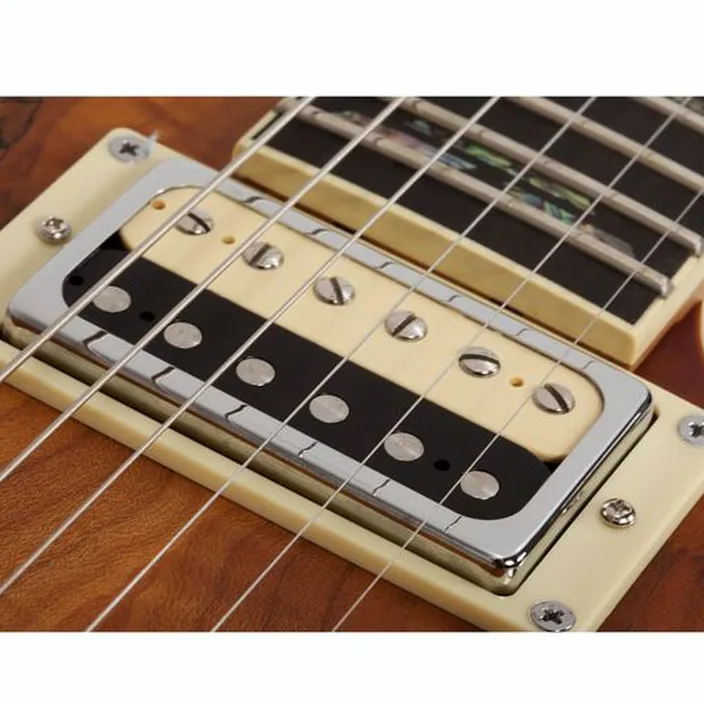 Schecter C-1 Exotic Spalted Maple SNVB : Avis, Comparatif & Test