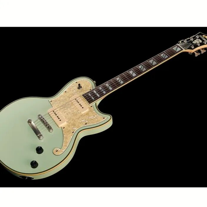 Guitare DAngelico Deluxe Atlantic LE Sage