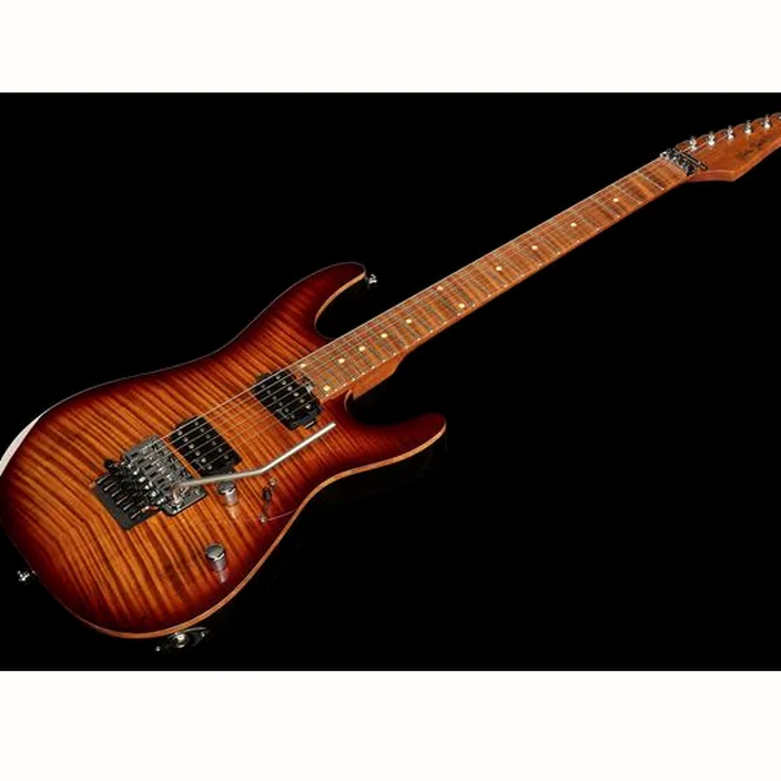 Guitare électrique Harley Benton Fusion-III HH FR Roasted FBB