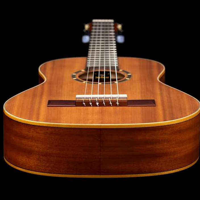 Guitare Ortega R122-1/2-L