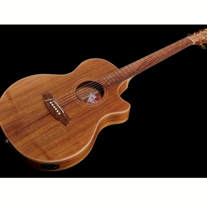 Guitare Acoustique Cole Clark TL2EC-BLBL Thin line