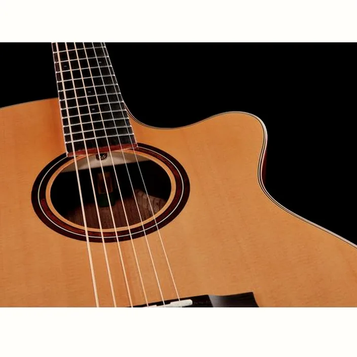 Guitare acoustique Stanford 46-G3-SO-ECW