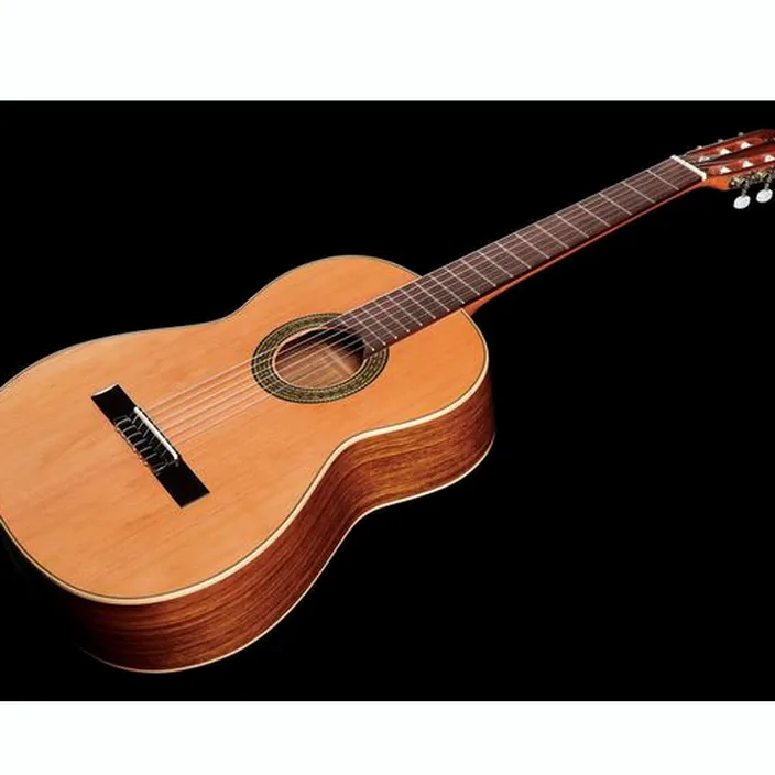 Guitare Classique Ortega R220