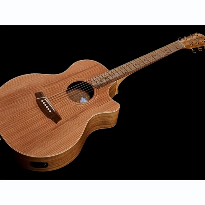 Guitare Cole Clark AN2EC-RDBL