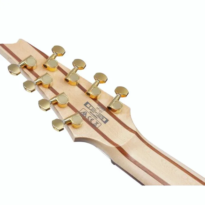 Ibanez RG80F-IPT