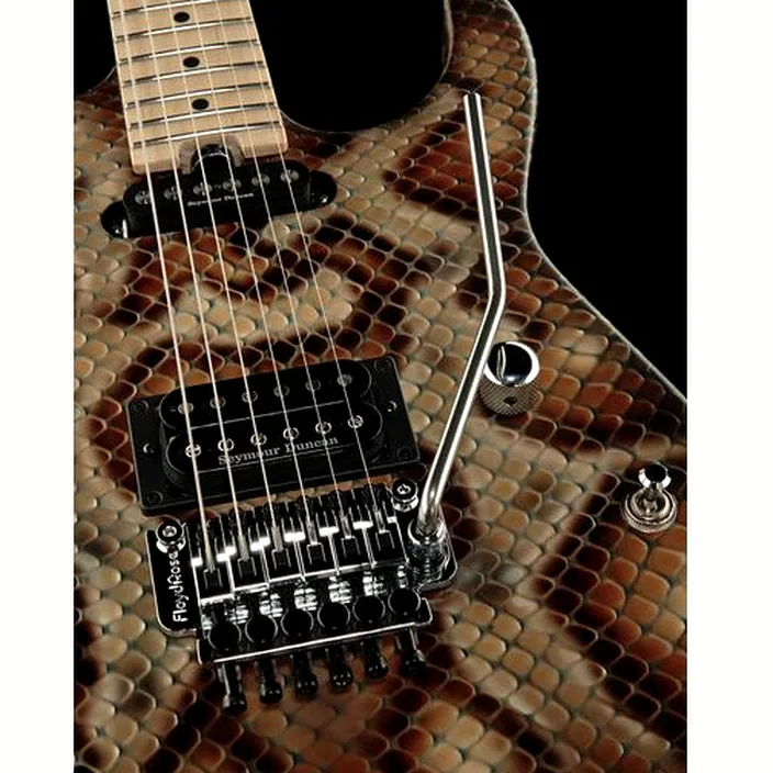 Et Avis Charvel Pro Mod DK WDM Snake
