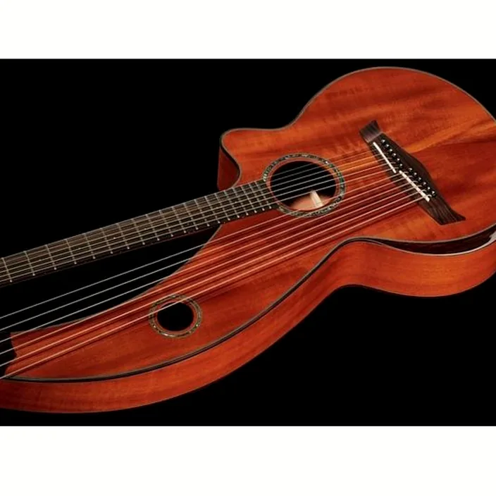 Et Avis de la guitare Acoustique Timberline Guitars T30HGc-e Harp Guitar