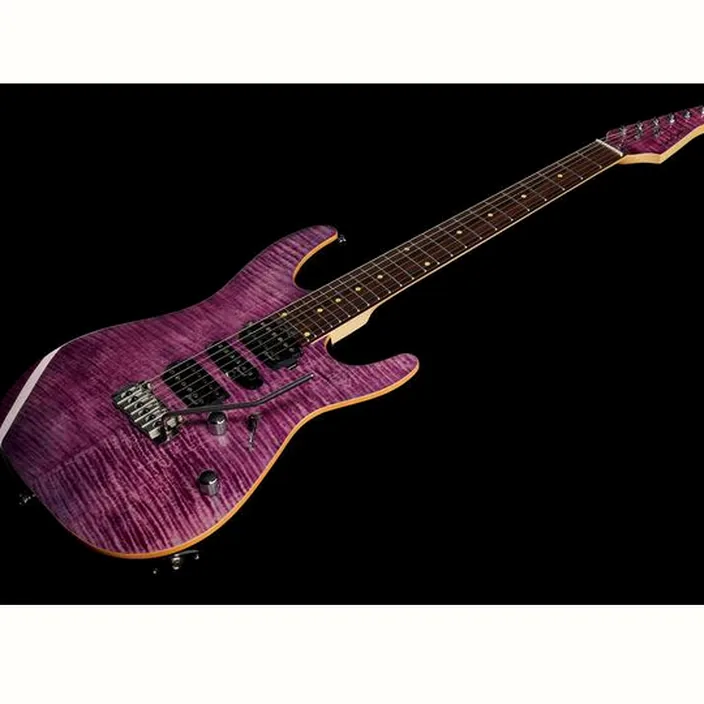 Et Avis Harley Benton Fusion-III HSH EB FPU