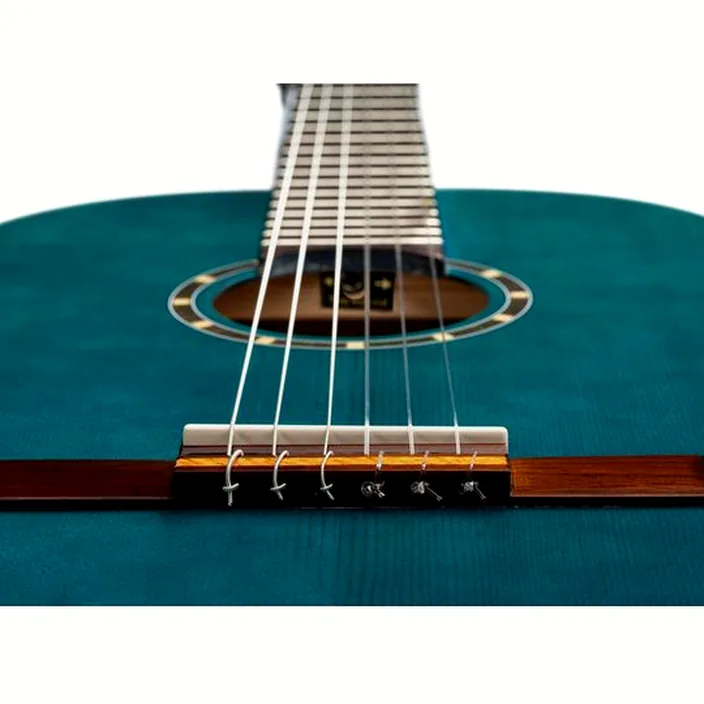 Et Test de la guitare Classique Ortega R121SNOC