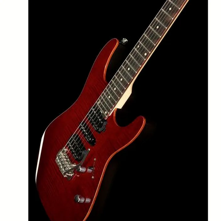 Et Test de la guitare Harley Benton Fusion-III HSH EB FCH