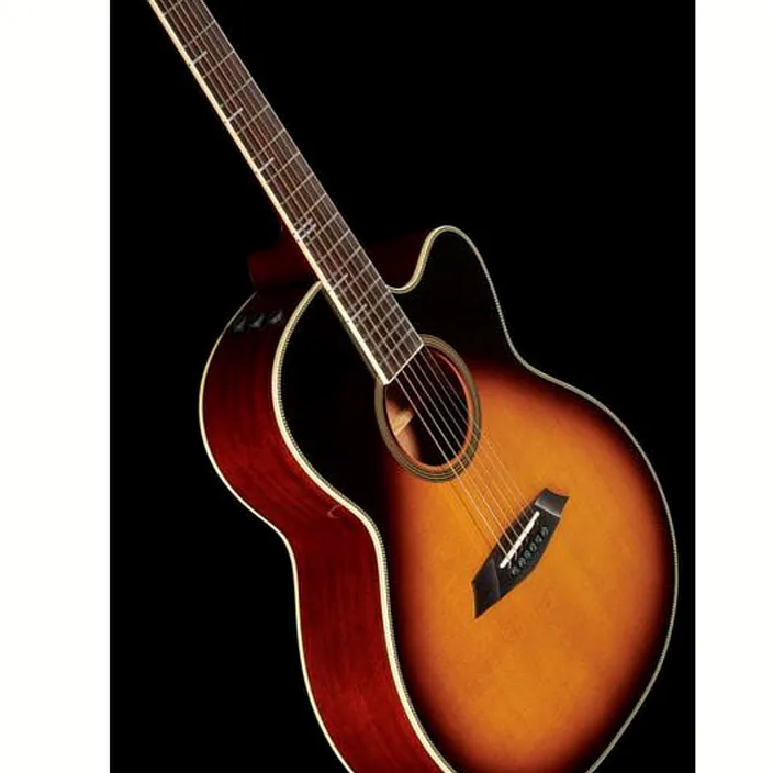 Et Test Guitare acoustique Larry Carlton A4-G VS