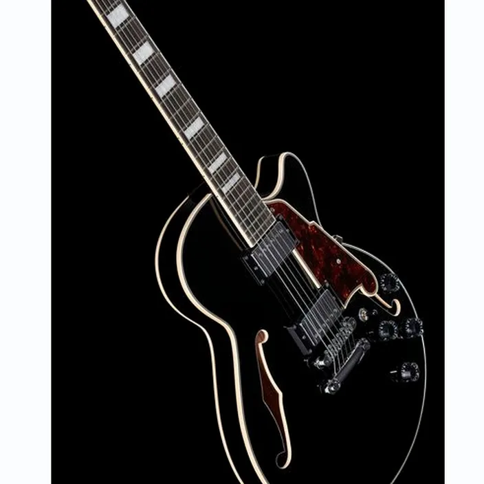 Guitare DAngelico Premier SS Black Flake