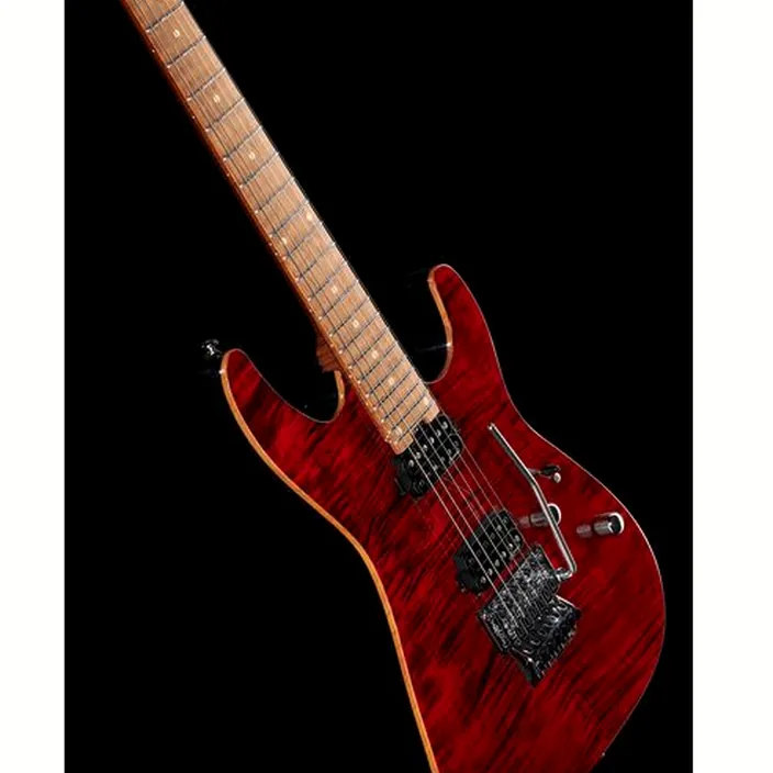 Guitare électrique Harley Benton Fusion-III HH FR Roasted FCH