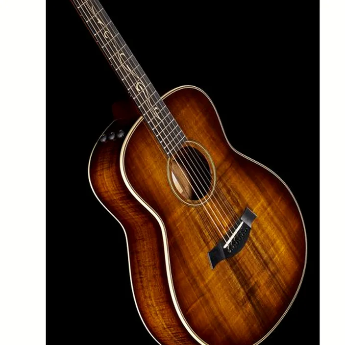 Guitare Taylor GT K21e
