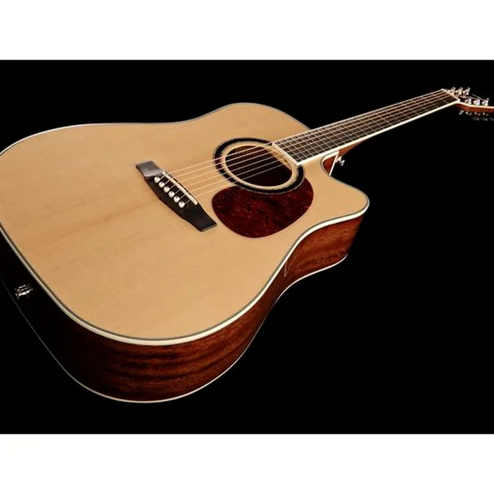Guitare Acoustique Cort MR730FX