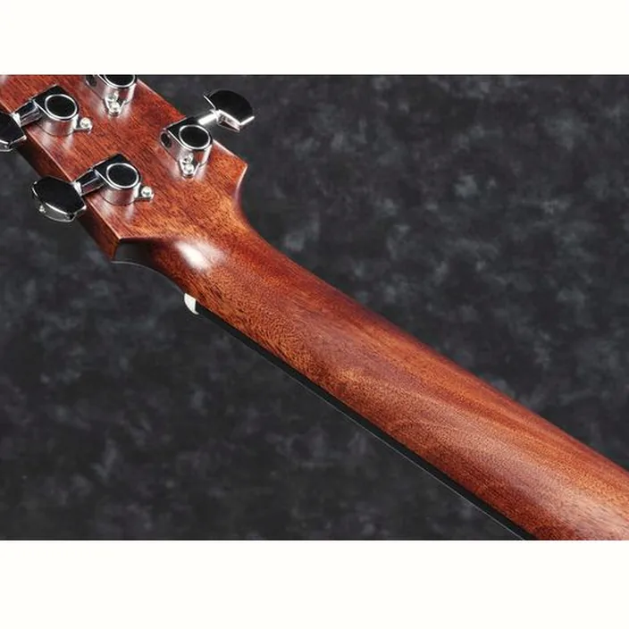 Guitare Ibanez AAD300CE-LGS