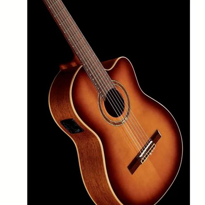 Guitare Ortega RCE238SN-FT