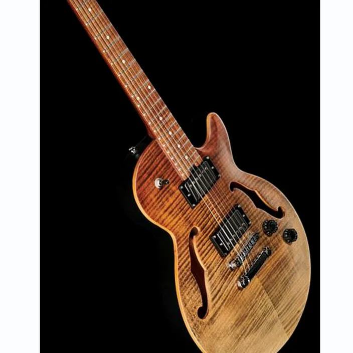 Harley Benton Aeolus Frost Flame