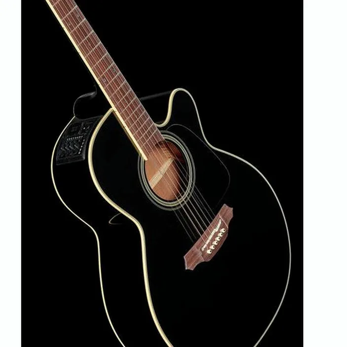 Guitare Acoustique Takamine PTU561SP Custom Comparatif, Avis, Test
