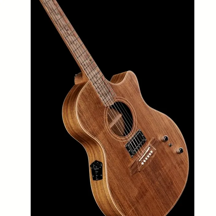 Guitare Cole Clark TL2EC-BLBL-HUM - Comparatif, Avis & Test