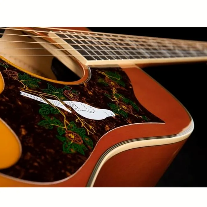 Guitare Epiphone Dove Studio , Avis, Test