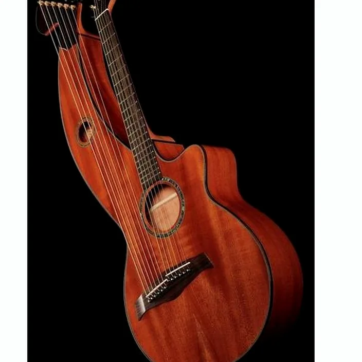 Guitare Timberline Guitars T30HGc-e Harp Guitar / Test et Avis