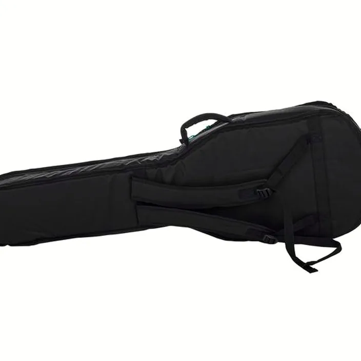 Harley Benton CST-24 Paradise Flame Bundle Test et Avis