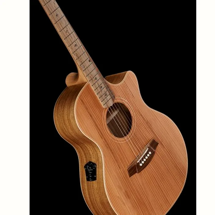 La guitare Cole Clark AN2EC-RDBL : Comparatif, Avis, Test