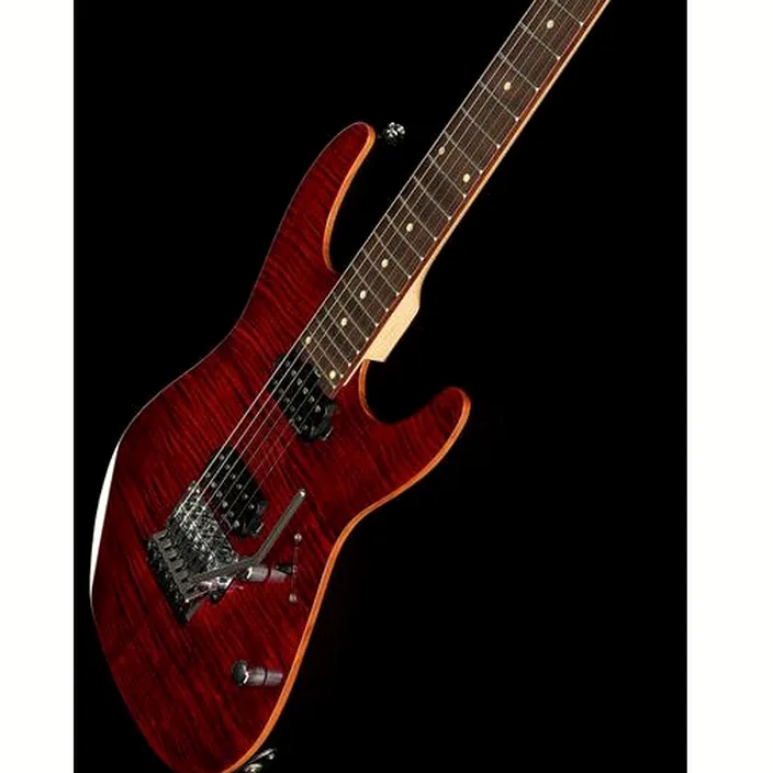 La guitare Harley Benton Fusion-III HH FR EB FCH : Avis, Test, Comparatif