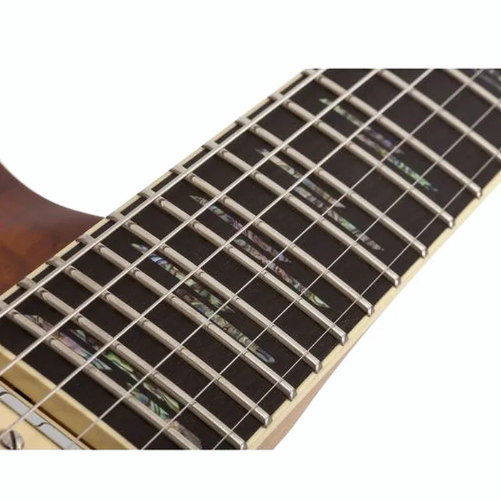 Schecter C-1 Exotic Spalted Maple SNVB : Avis, Comparatif & Test