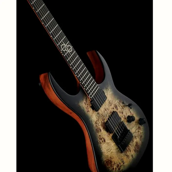 Solar Guitars S1.6APB Test, Comparatif et Avis