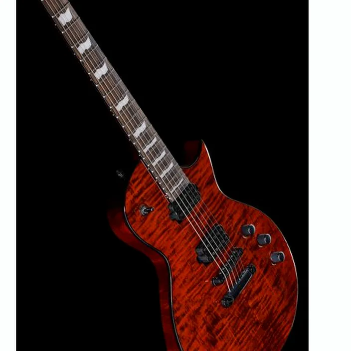 Guitare ESP LTD EC-1001FM Tiger Eye