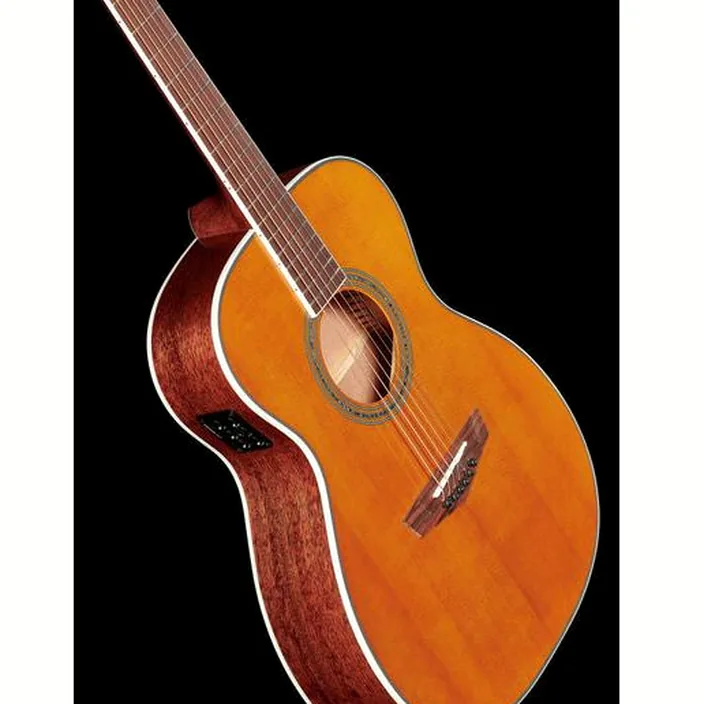 Guitare Acoustique DAngelico Excel Tammany XT VNT