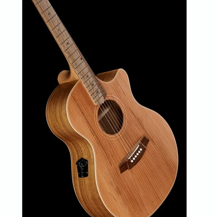 Guitare Cole Clark AN2EC-RDBL