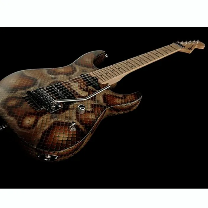 Et Avis Charvel Pro Mod DK WDM Snake