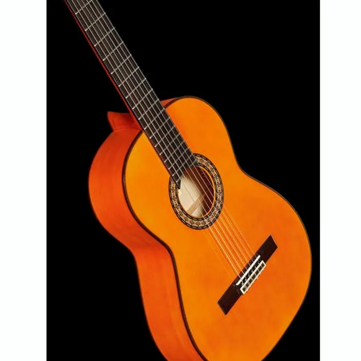 Et Avis de la guitare Classique Raimundo Model 160 Flamenco
