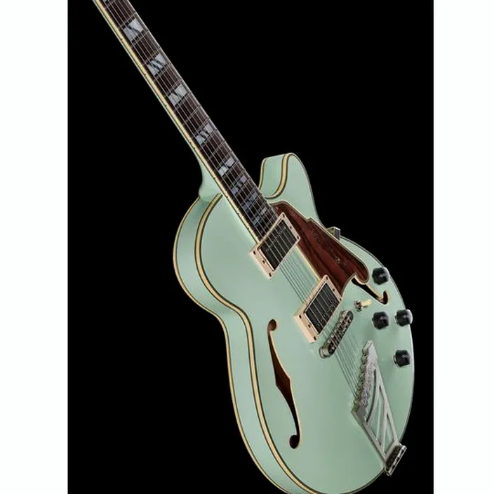Et Avis de la guitare électrique DAngelico Deluxe SS LE Sage