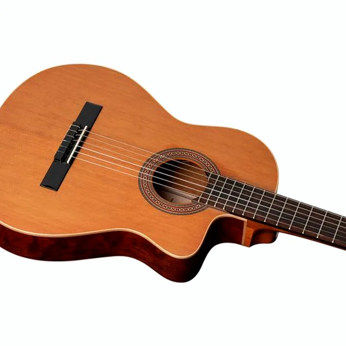Et Avis Guitare Classique Ortega RCE180GT