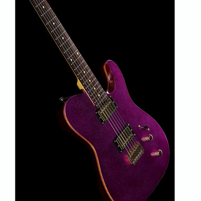 Et Avis Harley Benton Fusion-T HH HT EB PSP